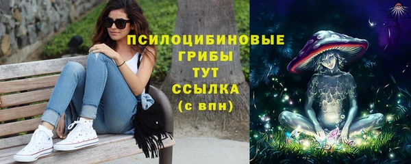 ешки Алексеевка