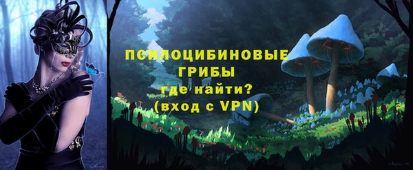 ешки Алексеевка