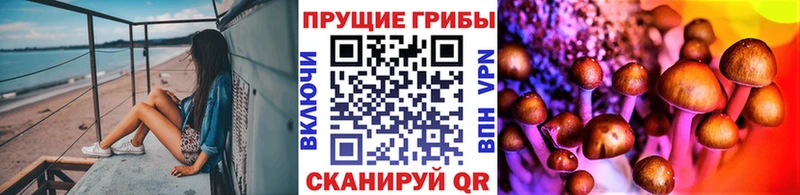Псилоцибиновые грибы Cubensis  блэк спрут   Арзамас  дарнет шоп 